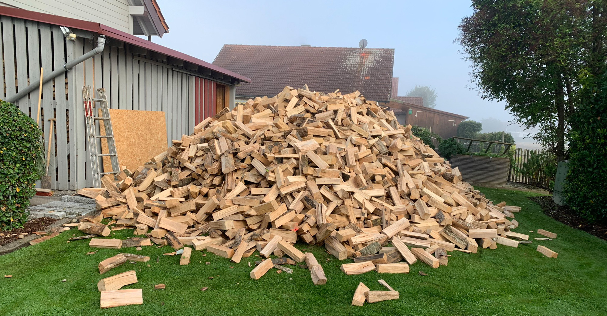 Holz Raummeter Preis